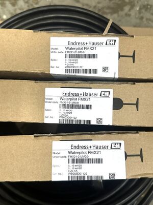 Endress Hauser MX21-21JM0/0 High-Precision Capacitive Level Switch untuk Pengendalian Proses Industri
