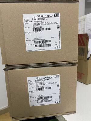 E+H FTL50-1DN80/0 Saklar Level Titik Garpu Tala Vibronic M Liquiphant