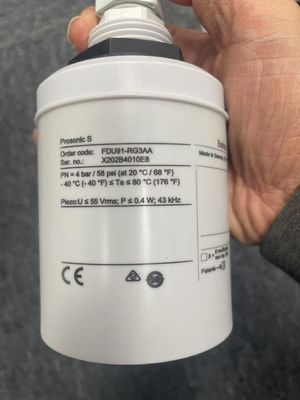 Endress Hauser FDU91-RGZAA sensor ultrasonik untuk pengukuran tingkat dan aliran untuk koneksi ke FMU9x