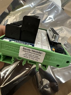 Blok Terminasi Eksternal Bently Nevada 133924-01