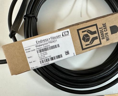 Endress Hauser FMX21-1CE62/1 Pemancar Level Hidrostatik Waterpilot dengan Sel Pengukur Keramik