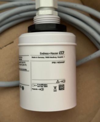 Endress Hauser FDU91-RG1AA sensor tingkat ultrasonik