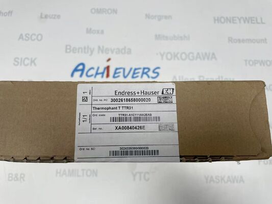 Pemancar Suhu Tingkat Industri Endress Hauser TTR31-A1C111AA2EAB untuk Pengukuran Presisi