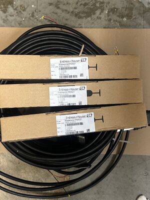 Endress Hauser MX21-21JM0/0 High-Precision Capacitive Level Switch untuk Pengendalian Proses Industri